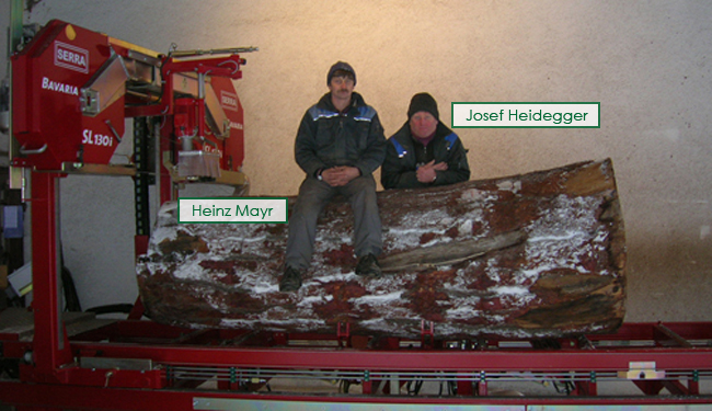 saegewerk mayr team